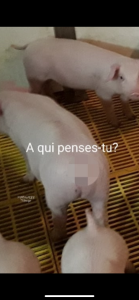 HurtmePlenty Public Pic 3