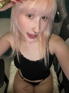 evlica Public Billede 6