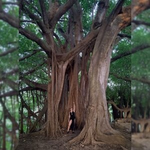 Jung-Zc Adventures ❤️ Pic 5