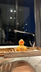 PeekABooPeak Public зображення 2