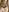 pinkrackzSexy Nudes照片 4