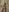 tina1your1 New sexy pics 💚 Pic 4