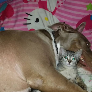 ForwardStar505 Public Pic 5