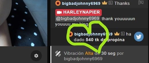 HARLEYNAPIER