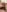 alex_wolf_ Hairs, hairs and more hairs 사진 2