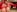 lovely_beast Slutty Christmas elf 🧝‍♀️ Pic