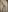 Coconut_Mia Gently Naked Body Pic 4