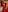Thomas_shelbys 🎅 MERRY CHRISTMAS 2024 🎄 Pic 3