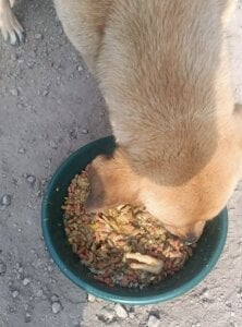 Boonny_boo_ Actions speak louder than good intentions. Pic 4