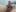 Whiper2024 Pene Pic 5
