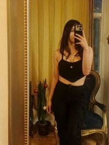 Public de Siena_fox  3 Imagens