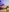 Divina_X_ Holy *uck 🎄 Double Pen Under Christmas Tree Gallery 📸 Pic 4