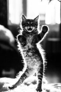 Audrey_Aura KISA Hình 4