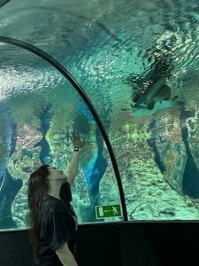 DelindaToste: old album ( 4 фото)