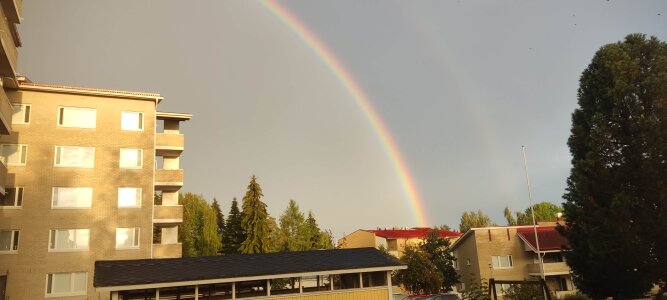 Tangool Public Pic 5