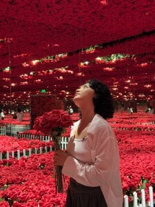 came-a-lot Public Εικόνα 4