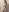 Gabriella_Hot_ 🤍🔥Imagine that I am your bride🤍🔥 Pic 5