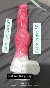 emilypoppy3 New toy Pic