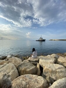 Rose_Allure Rose in the sea صورة واحدة|Rose_Allure Rose in the sea صورتان|Rose_Allure Rose in the sea  5 صور|Rose_Allure Rose in the sea  5 صورة