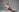 Tea_roseHalloween照片 4