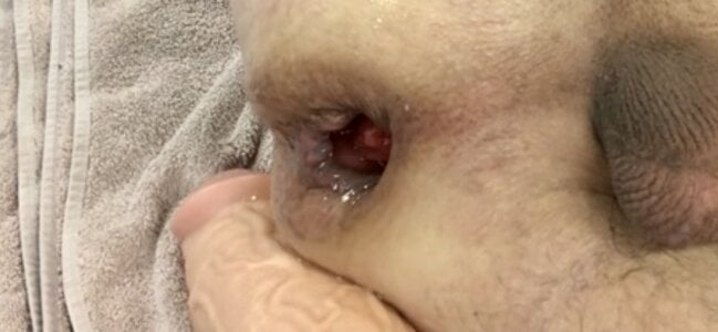 DozenSummer3 Fun Times Pic 8