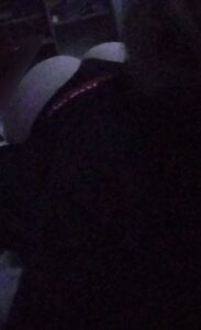 sophiapinned Sexyso Εικόνα 3