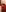 legaulois4691 Huum Pic 9