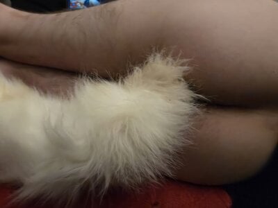 Johnnytailplug Public Pic 2