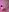 AdelineGoddess naked kitty 사진 7