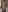 scarce_candy69 SOFT COCK Pic