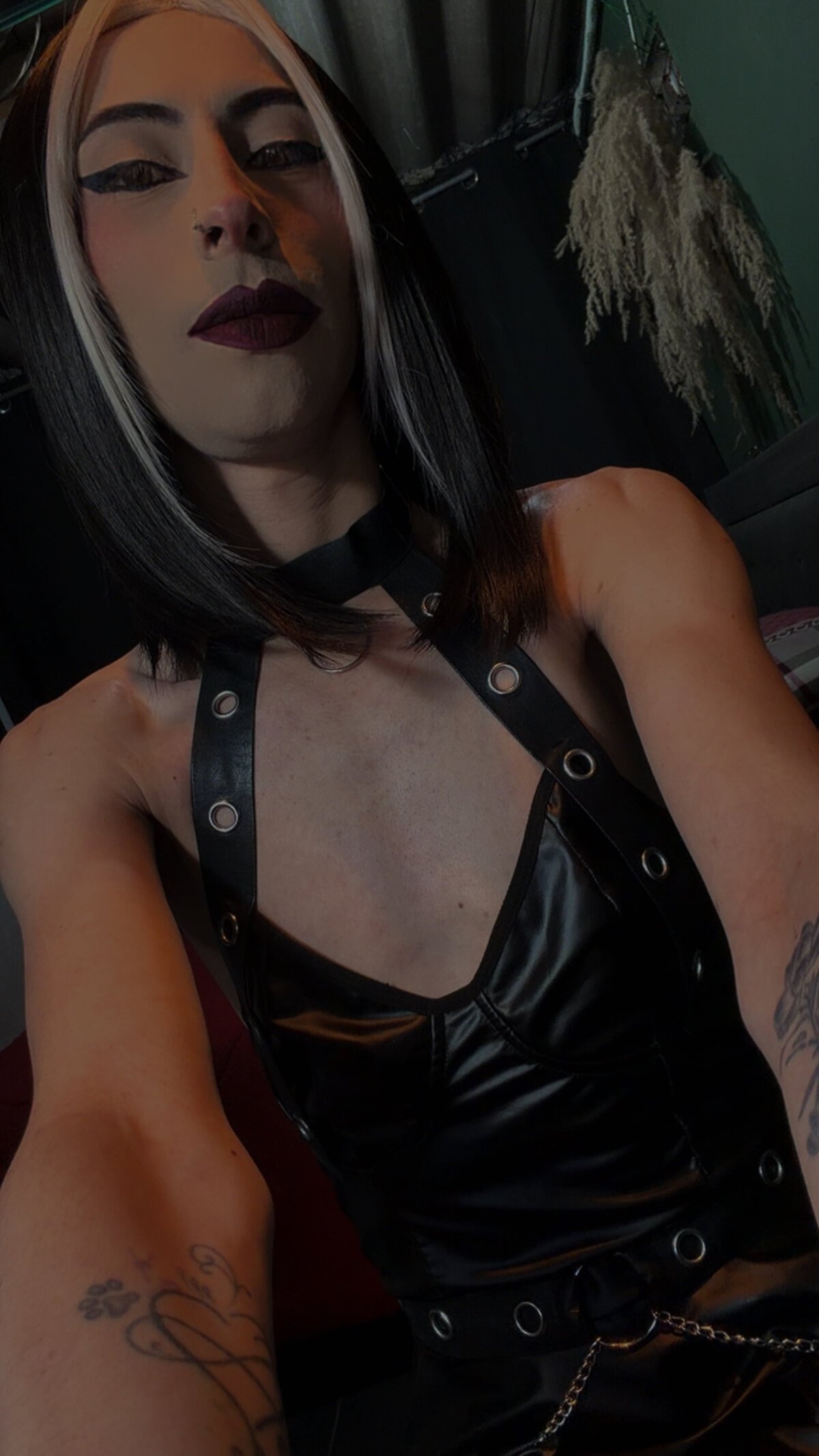 DOMINANT_TEACHER_KAROL  289. kiemelt képe