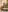 scarlett_sexx69 Christmas 2023 Pic 6
