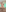 CelestialFoxxx 🍀 MARCH CLUB - Lucky Charms 🍀 Orange Lingerie + nude Pic 2