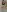 Lollipop_GirlsLengerie照片