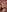 Emeli_Blur Did you miss me? Photo