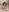 mom4you New1 Photo 4