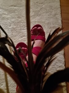 HorneySecretCoupleNL Public รูป  3