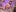 ScarletColes Have you saw a naked..."bunny" before? 🥵 Pic 4