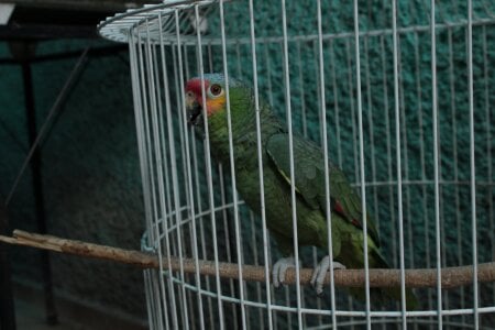 Ganstafaraii's me Sex Photo 2