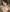 Silencia_Kilua Nudes Photo 5
