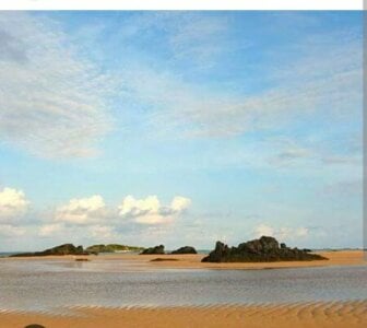 IANhARDfUcker MY STRESS RELIEVER (GREAT PLACE)GOLDEN SAND Foto