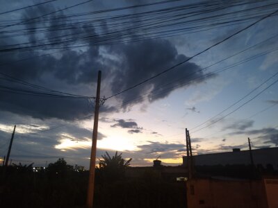 Public de Heterobusca  5 Imagens