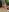 veronikawithDDDs Outdoor bath (nudes included) Photo 6