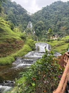 Daviid_laidd kullanıcısının a small walk ✨🌷 albümü -  3 fotoğraf