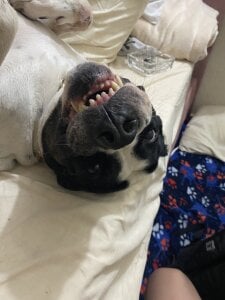 Daddysgirl1_ My angel Immagine 