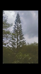 problemchild-04 Hi baby🍒 Pic 4