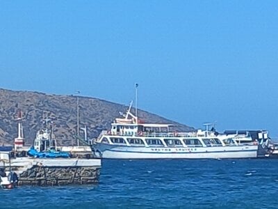 vena4 Public รูป  3