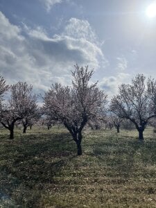 NeEdnaBradley 🙈 Billede