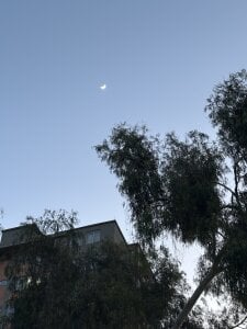 Ari_And_Abdie Public Gambar 6