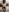 kenllyhot_and_valeriahell blinded and wearing nylon lingerie Pic 5